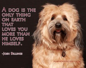 dog quote