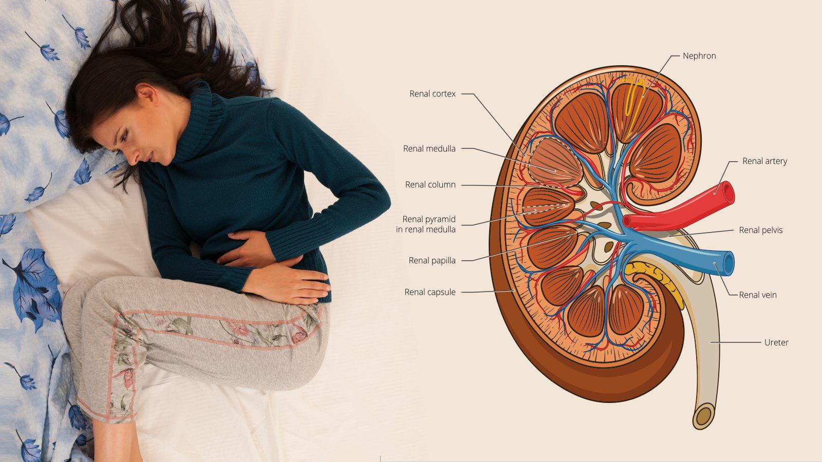 11 Signs Your Body Needs a Kidney Flush