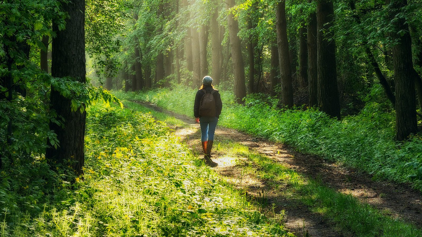 Researchers Reveal How a Nature Walk Improves Attention