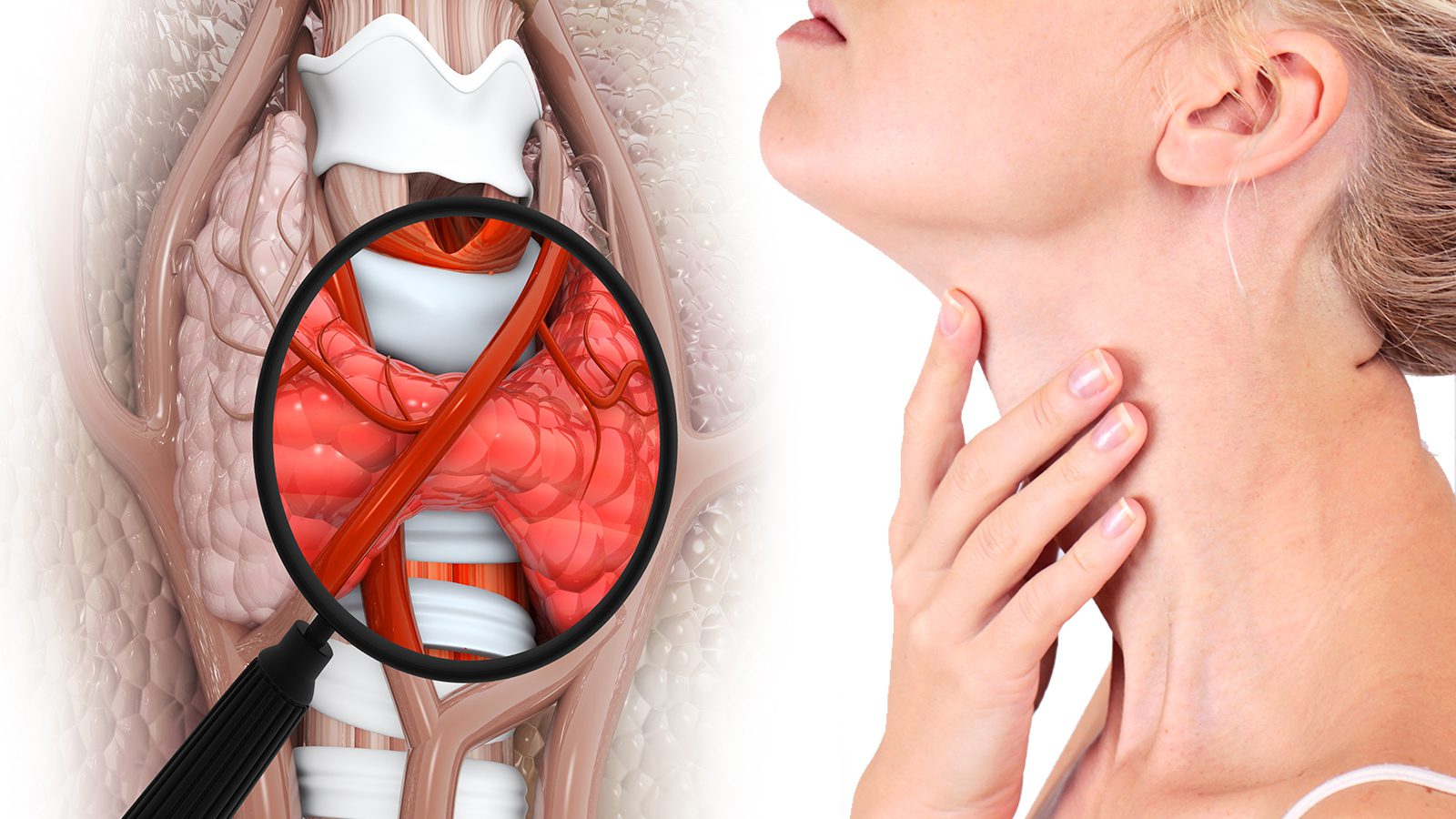 Cleveland Clinic Explains the 3 Types of Thyroid Disorders (and What Causes Them)