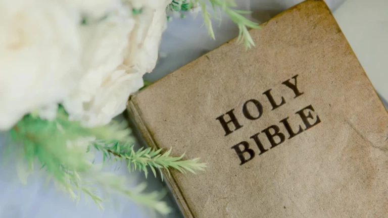 bible verses emotional resilience
