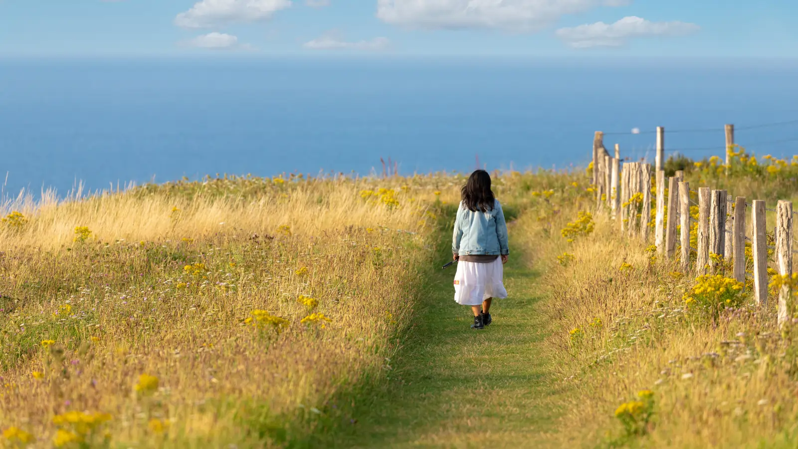 discover your true purpose in life