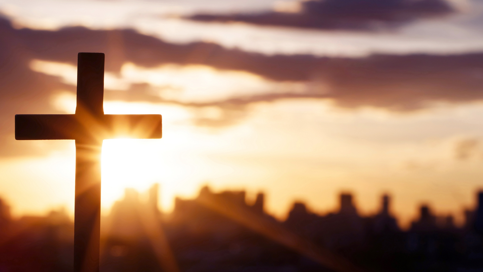 faith meets doubt