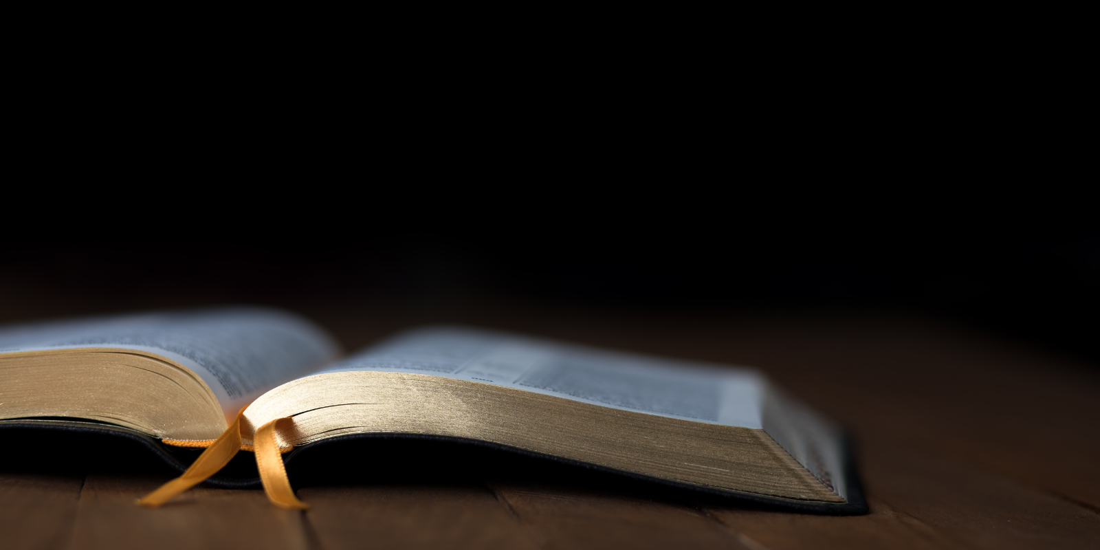 bible on staying positive