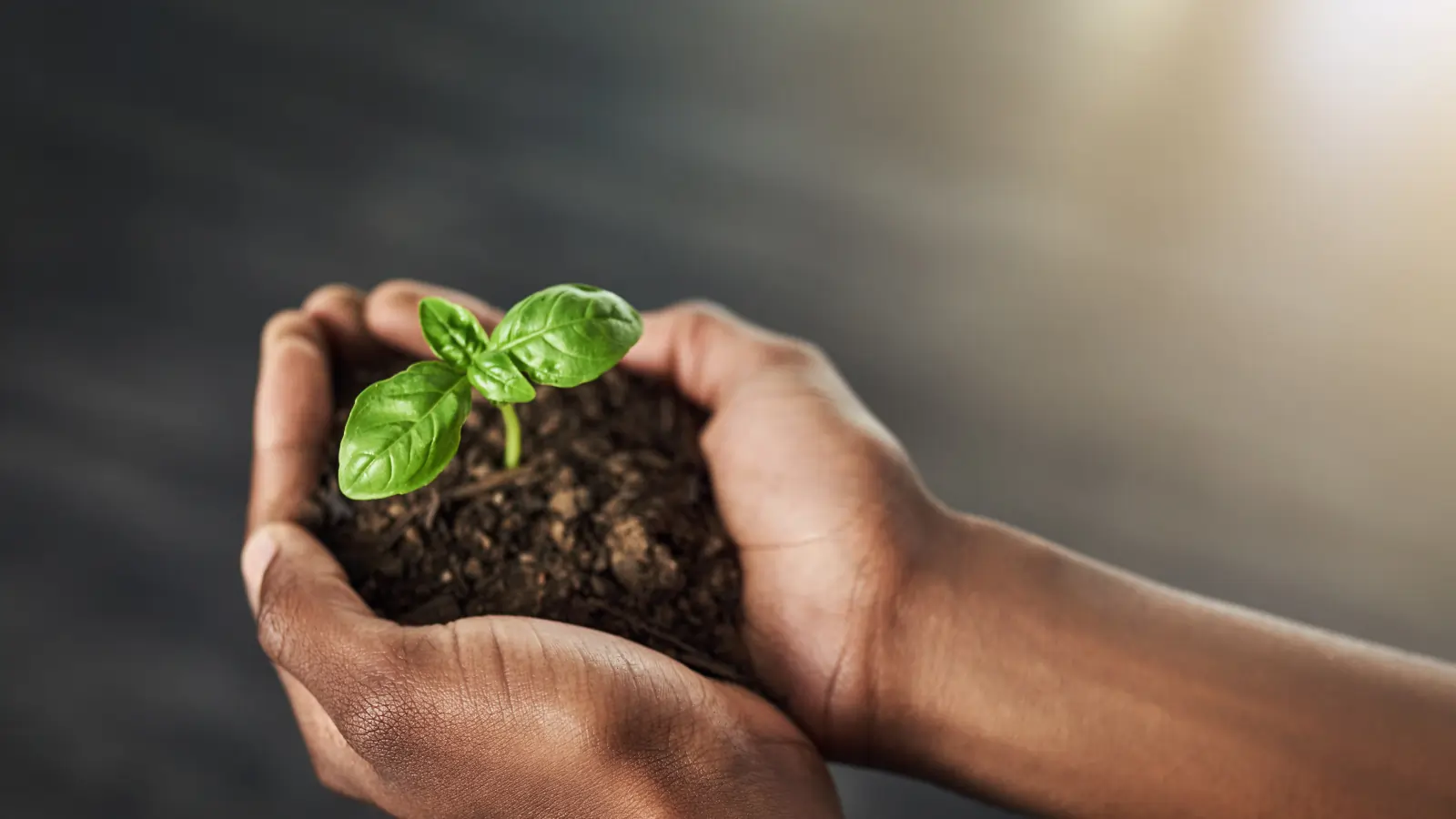 bible verses that teach patience and perseverance