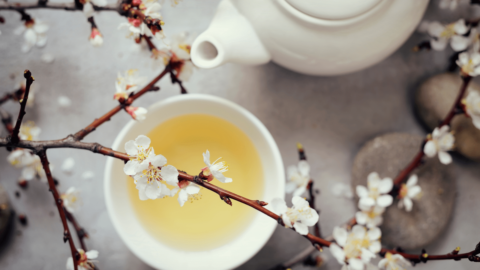 white tea for weight loss