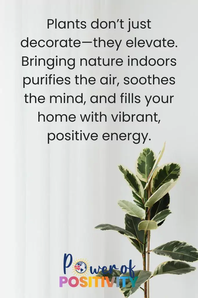 plants dont just decorate